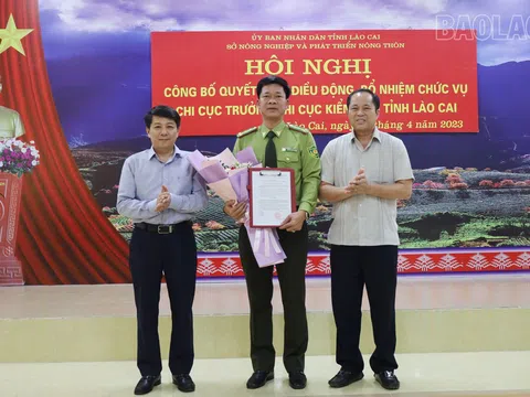 Bổ nhiệm nhân sự, lãnh đạo tại Lào Cai và Thanh Hoá