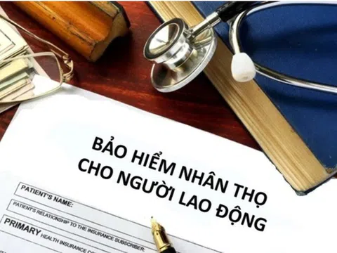 Bộ Tài chính chỉ đạo chấn chỉnh hoạt động doanh nghiệp bảo hiểm nhân thọ