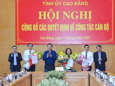 Điều động, bổ nhiệm nhân sự tại Cao Bằng và Hải Dương