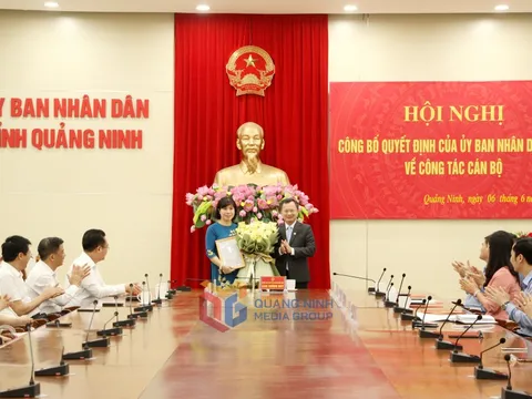 Điều động, bổ nhiệm nhân sự tại Quảng Ninh và Phú Yên