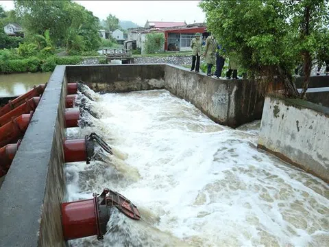 Ứng phó bão số 1: Ninh Bình sẵn sàng vận hành các công trình tiêu úng