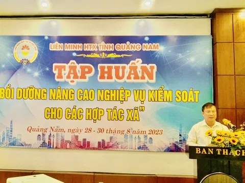 Quảng Nam: Tổ chức tập huấn nâng cao nghiệp vụ kiểm soát cho các Hợp tác xã