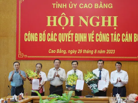 Bến Tre, Cao Bằng bổ nhiệm nhân sự mới