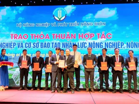 Hệ sinh thái doanh nghiệp: Hợp tác, cộng sinh, cùng phát triển