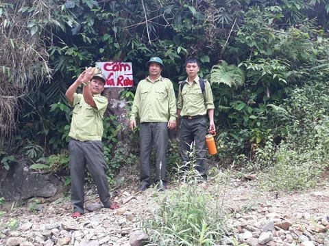 Quảng Nam: Tăng cường sự lãnh đạo của Đảng đối với công tác quản lý, bảo vệ rừng