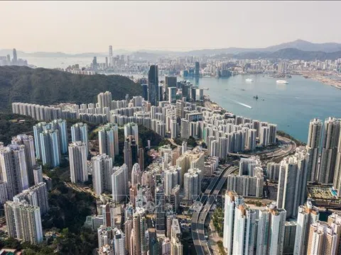 Cơ hội từ chính sách 'giữ chân người tài' ở Hong Kong