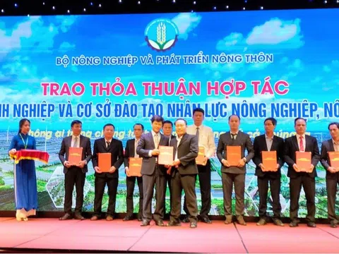 Thực trạng nguồn nhân lực cho ngành Nông nghiệp công nghệ cao và giải pháp