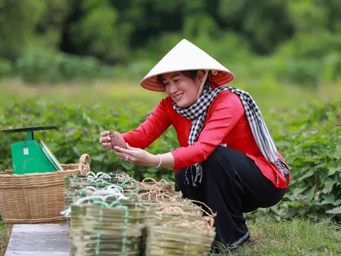 Cồn Ông - Điểm đến du lịch cộng đồng đặc sắc ở Trà Vinh