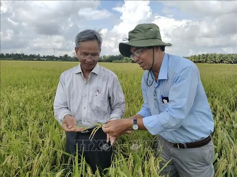 Người thầy của những 'kỹ sư chân đất'