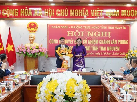 Bổ nhiệm nhân sự tại Thái Nguyên, Ninh Bình