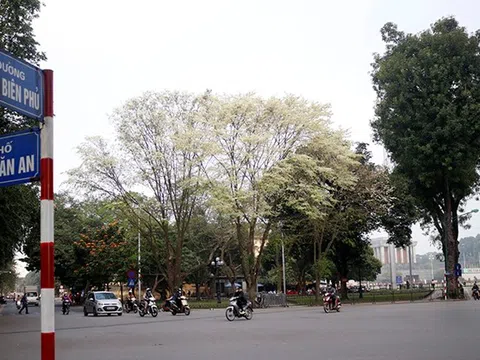 Người (của) Hà Nội (văn) cho cả nước (Phần 2 và hết)