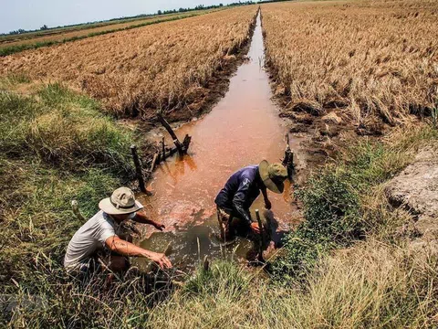 Dự báo xâm nhập mặn tại Nam Bộ và Công điện của Thủ tướng chỉ đạo tập trung ứng phó