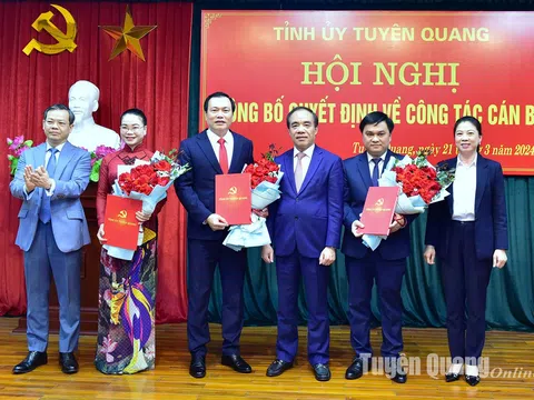 Bổ nhiệm nhân sự mới tại TP.HCM, Tuyên Quang