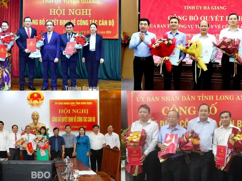 Phân công Bí thư Tỉnh ủy, bầu Phó Chủ tịch HĐND tỉnh