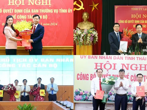 Chuẩn y Bí thư Tỉnh ủy, bổ nhiệm Phó Chánh Văn phòng UBND