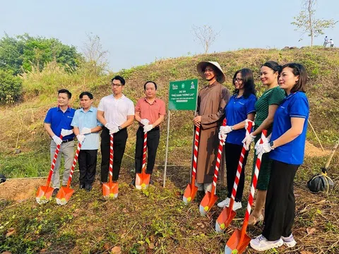 Điện Biên: Phủ xanh tương lai trên miền đất lịch sử