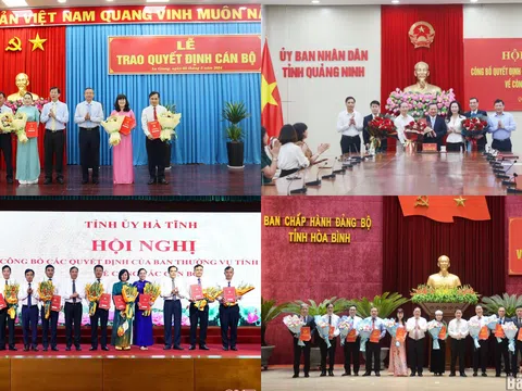 Bổ nhiệm Phó Chánh Văn phòng UBND tỉnh; Giám đốc Sở