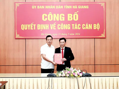 Kiện toàn nhân sự tại Hải Phòng, Hà Giang