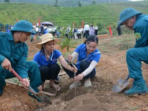 Lần đầu huyện Tuần Giáo tổ chức ngày hội trồng cây mắc ca