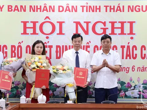 Điều động, bổ nhiệm cán bộ tại Thái Nguyên và Hà Giang