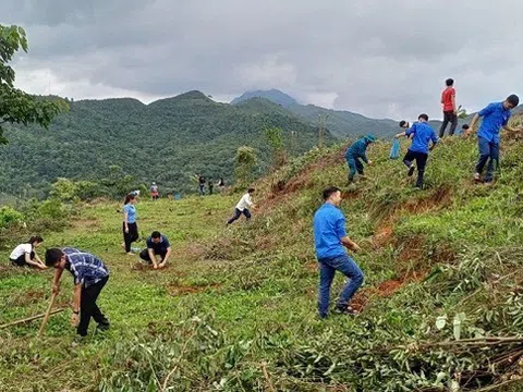 Nậm Pồ hỗ trợ hộ nghèo trồng rừng: Hướng đi bền vững cho phát triển kinh tế