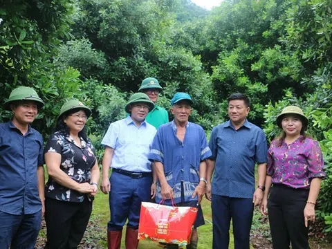 Hội đồng nhân dân tỉnh Điện Biên: Chia sẻ kinh nghiệm tiếp xúc cử tri