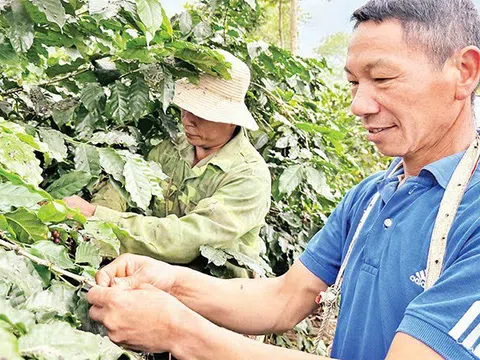 Người có uy tín ở Điện Biên thúc đẩy phát triển kinh tế, giảm nghèo