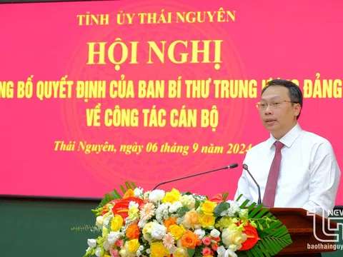 Thứ trưởng Nguyễn Huy Dũng giữ chức Phó Bí thư Tỉnh ủy Thái Nguyên