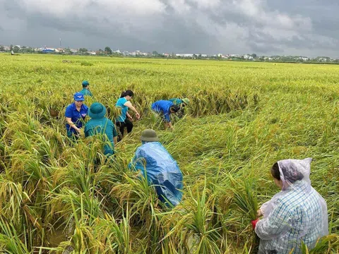 Hội liên hiệp phụ nữ Hà Nội tích cực hỗ trợ nhân dân sau bão số 3