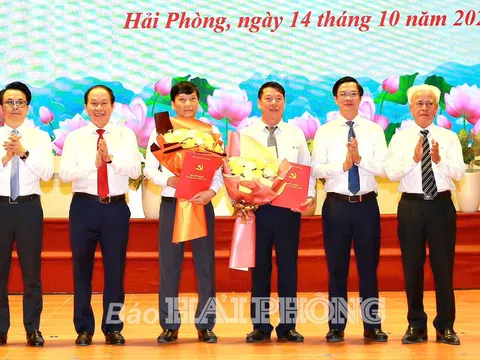 Bổ nhiệm cán bộ mới tại Hải Phòng, Tuyên Quang