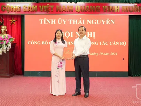 Kiện toàn cán bộ mới tại Thái Nguyên, Nam Định