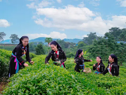 Phú Lương – Thái Nguyên: Củng cố an sinh xã hội từ công tác đào tạo nghề, giải quyết việc làm