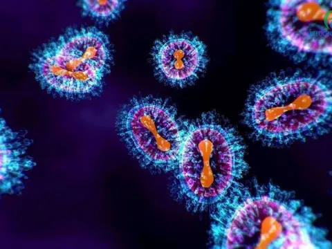 Chuyên gia hướng dẫn cách phát hiện và phòng ngừa virus hMPV