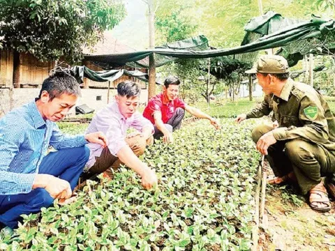 Từ người trồng cây thành người ươm mầm đổi thay