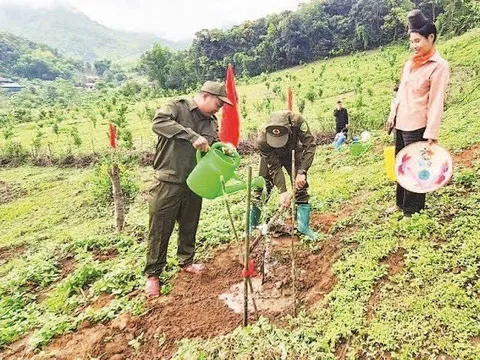 Tuần Giáo vươn lên từ nội lực, xây dựng nông thôn mới bền vững