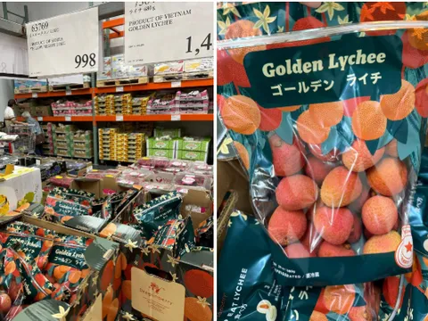 Vải thiều Bắc Giang chinh phục thành công hệ thống siêu thị lớn nhất nước Mỹ