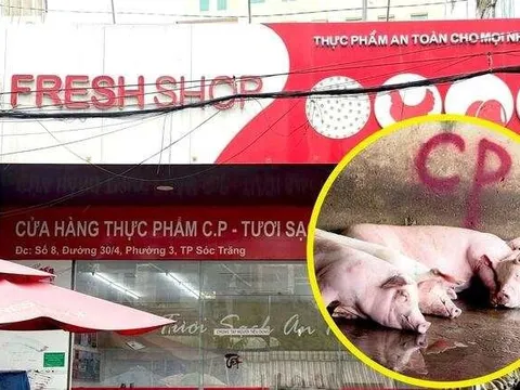 Người tố Công ty C.P. Việt Nam bán thịt heo bệnh bị triệu tập