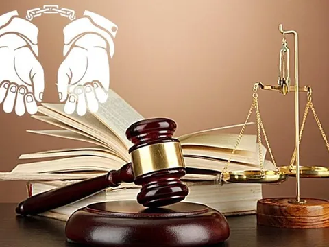 Khoảng trống chuyên môn trong xét xử: Nhìn lại từ những vụ án gần đây