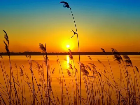 Vũ Đức Phúc – người giữ lửa phê bình văn học suốt hơn nửa thế kỷ (Phần 3 và hết)