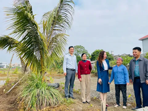 Lãnh đạo phường Móng Cái 2 thăm mô hình sản xuất nông nghiệp trên địa bàn