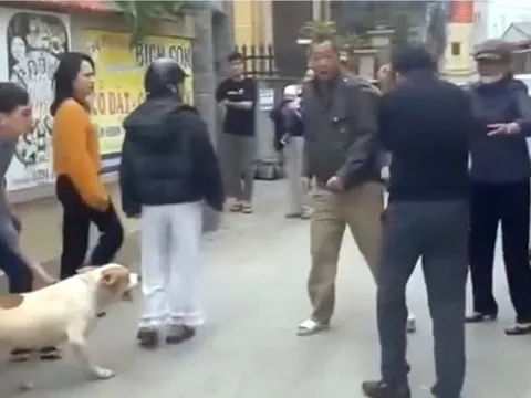 Vụ “điều” chó cắn người: Khi con vật không phải thủ phạm chính