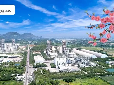Xi măng Long Sơn – Chúc mừng năm mới chào xuân Bính Ngọ 2026