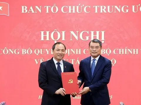 Ông Hoàng Trung Dũng làm Phó trưởng Ban Tổ chức Trung ương