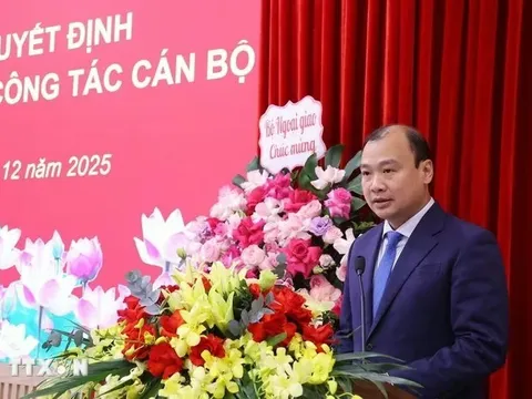 Thứ trưởng Lê Hải Bình làm Phó Giám đốc Học viện Chính trị quốc gia Hồ Chí Minh