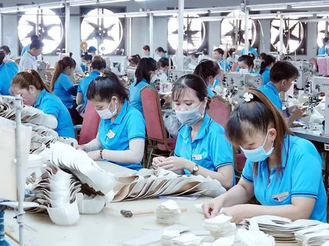 Làn sóng doanh nghiệp trở lại năm 2025: Gần 300.000 đơn vị gia nhập thị trường