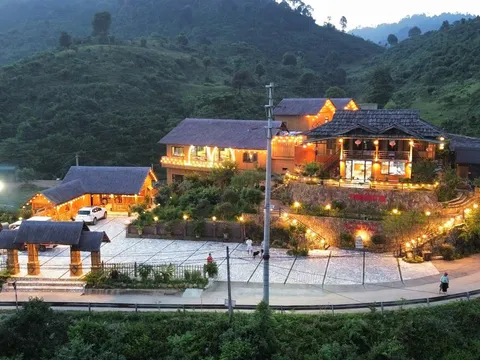 Suối Giàng – miền chè cổ thụ và giấc mơ du lịch bền vững giữa đại ngàn Tây Bắc