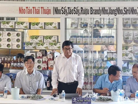 Phường Đô Vinh (Khánh Hoà) từng bước hình thành vùng trồng dừa xiêm liên kết, phục vụ xuất khẩu