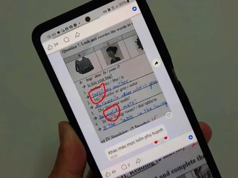 Vụ sửa bài để học sinh bị điểm thấp: Ai bảo vệ quyền lợi học sinh tiểu học?