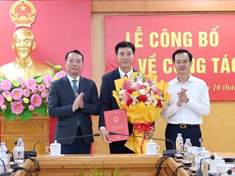 Bổ nhiệm nhân sự lãnh đạo mới tại TP. HCM và Hà Tĩnh