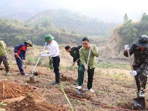 Na Son - Điện Biên đồng loạt ra quân trồng mắc-ca, cà-phê